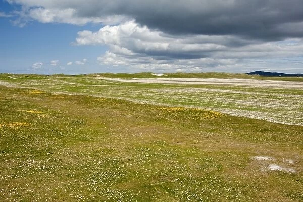 Machair - Showing rotational way in which it is farmed - North Uist - Outer Hebrides - Scotland
