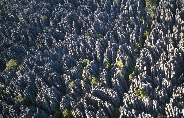 Madagascar - Aerial of Tsingy de Bemahara National Park - showing part of the Ankarana Limestone Massif. Close-up of Razor-sharp limestone karst, knife-edged pinnacles and limestone cliffs. UNESCO Reserve