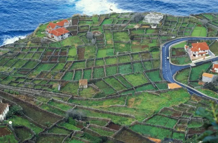 Framed Print : Madeira ROG 9526 Tiny fields hedged with Tree Heather, against wind. Port do Moniz, West Madira. © Bob Gibbons / ARDEA LONDON Framed Print : Madeira ROG 9526 Tiny fields hedged with Tree Heather, against wind. Port do Moniz, West Madira. © Bob Gibbons / ARDEA LONDON