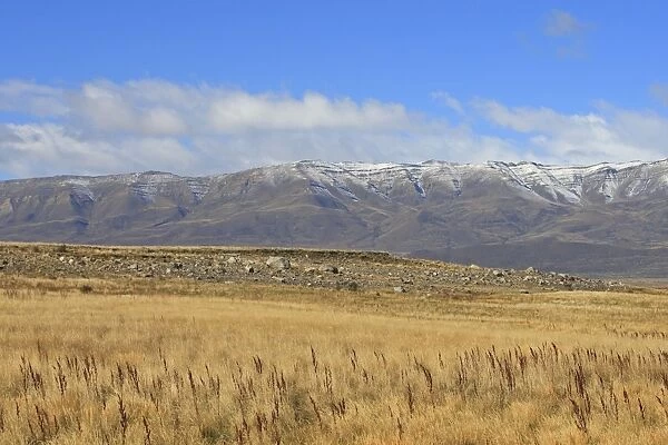 Magallanes Peninsula - Patagonia - Argentina