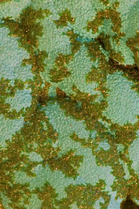 Framed Print : Malachite on Chrysocolla - Close-up of mineral specimen - Congo - Africa Framed Print : Malachite on Chrysocolla - Close-up of mineral specimen - Congo - Africa