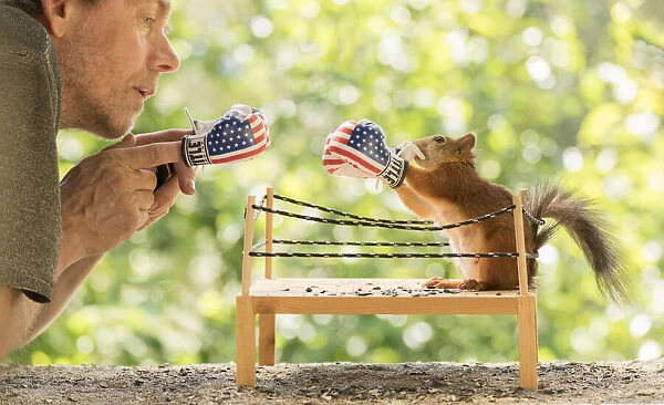 man and Red Squirrel standing in a boxing ring