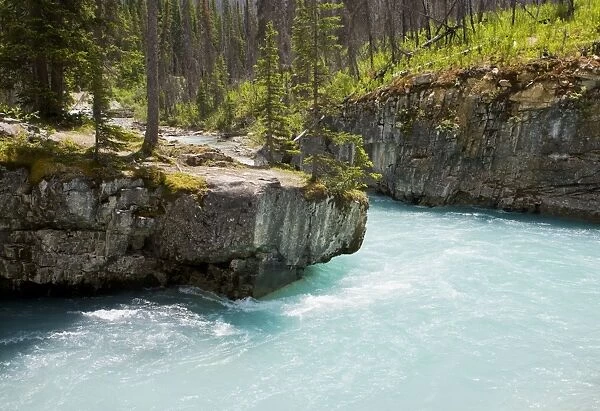 Marble Canyon, glacial meltwater channel, in Kootenay National Park, Rockies, Canada