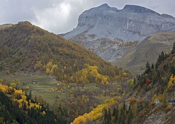Maritime Alps: north side of the Col d'Allos in autumn