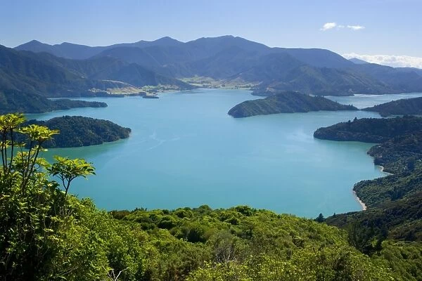 Marlborough Sounds view from Lookout Hill over Kenepuru Sound with its bays and islands Marlborough Sounds, South Island, New Zealand