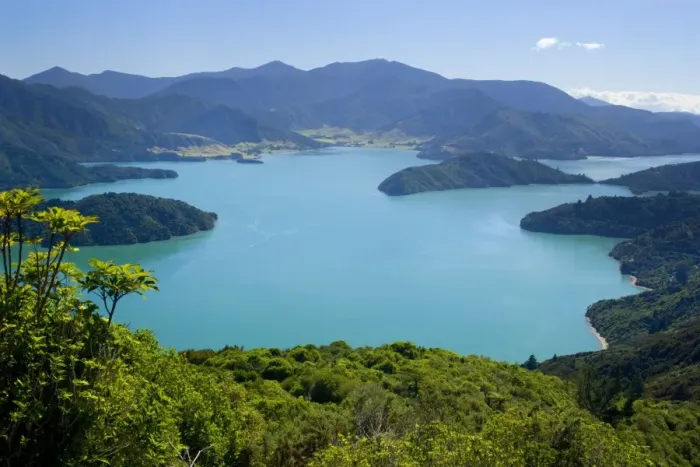 Framed Print : Marlborough Sounds view from Lookout Hill over Kenepuru Sound with its bays and islands Marlborough Sounds, South Island, New Zealand