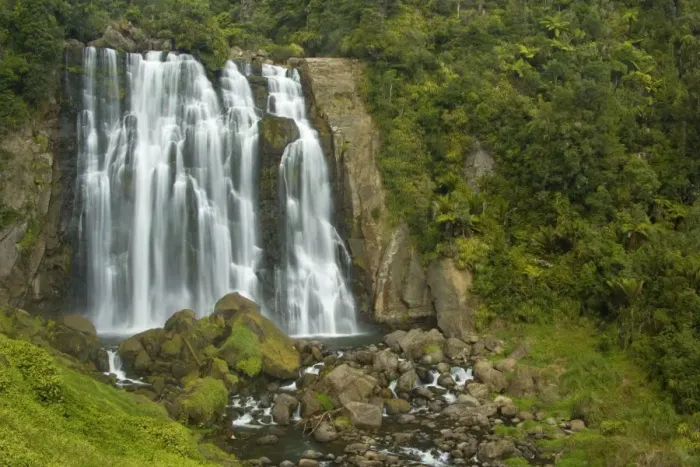 Framed Print : Marokopa Falls Marokopa river drops over the edge into a wide gorge which flanks are clad by lush temperate rainforest with Nikau Palms Waitomo, King Country, North Island, New Zealand Framed Print : Marokopa Falls Marokopa river drops over the edge into a wide gorge which flanks are clad by lush temperate rainforest with Nikau Palms Waitomo, King Country, North Island, New Zealand