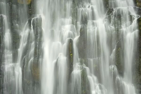 Marokopa Falls waters of Marokopa river plunging down into a wide gorge Waitomo, King Country, North Island, New Zealand