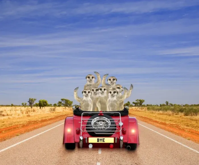 Framed Print : Meerkats - in car waving Digital Manipulation: Car JD - Meerkats TD Framed Print : Meerkats - in car waving Digital Manipulation: Car JD - Meerkats TD