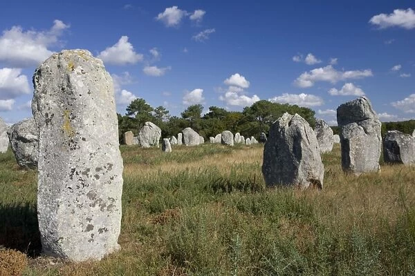 Megalithic aignements de Kermario, prehistoric standing stones or menhirs Carnac, Brittany, France