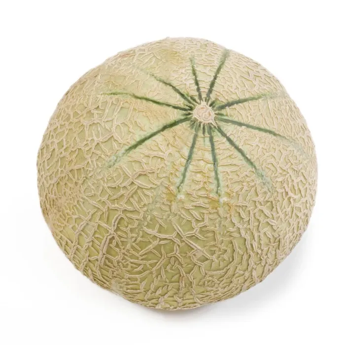 Framed Print : Melon - in studio Framed Print : Melon - in studio