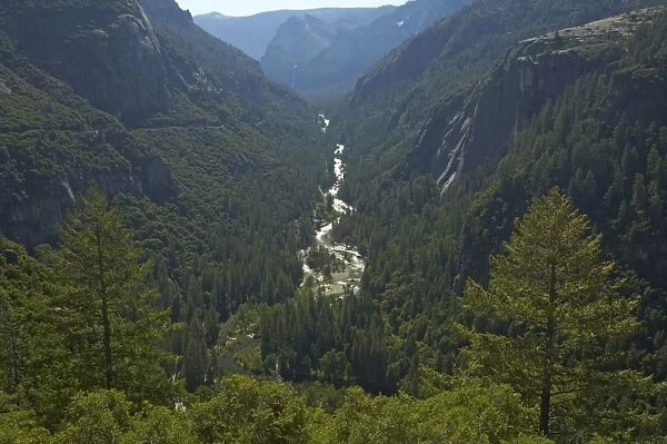 Merced River in Yosemite Valley Yosemite National Park California, USA LA000550