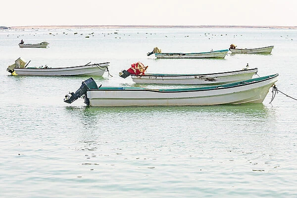Middle East, Arabian Peninsula, Al Wusta, Mahout. Fishing boats on the Arabian Sea in Oman. Date: 27-10-2019