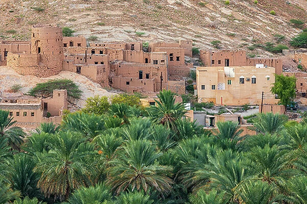 Middle East, Arabian Peninsula, Oman, Ad Dakhiliyah, Nizwa. Palm trees and a traditional mountain village in Nizwa, Oman. Date: 24-10-2019