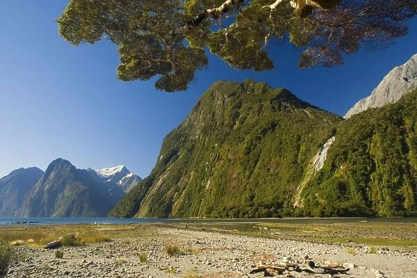 Milford Sound with waterfalls and surrounding mountains. Milford Sound is one of the, if not THE, most famous attraction in New Zealand. Many scenes for the The Lord of the Rings Trilogy were filmed in this breathtaking