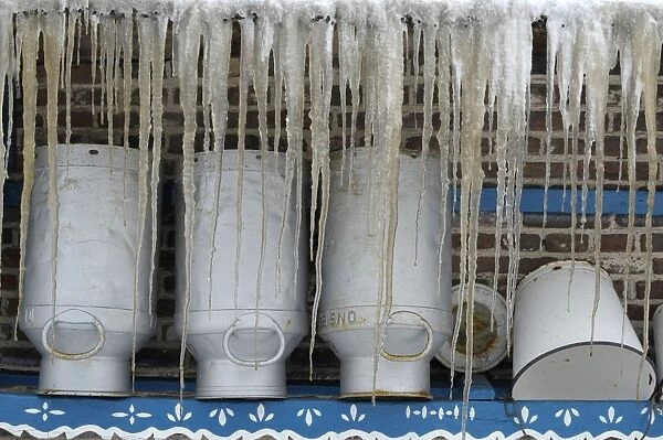 milk cans with icicles, Staphorst NL