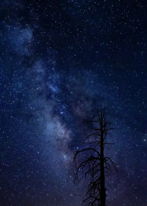 Framed Print : Milky way over the Carson National Forest, Tres Piedras, New Mexico Date: 11-08-2020 Framed Print : Milky way over the Carson National Forest, Tres Piedras, New Mexico Date: 11-08-2020