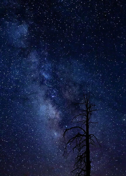 Milky way over the Carson National Forest, Tres Piedras, New Mexico Date: 11-08-2020