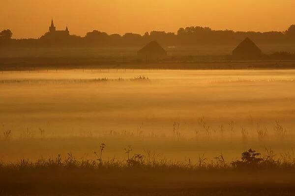 Mist covered meadows at dawn, Isle of Texel, Holland