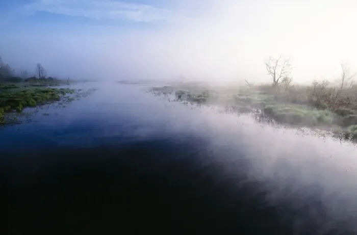 Framed Print : Mist - rising from river in White Memorial Foundation, early morning Framed Print : Mist - rising from river in White Memorial Foundation, early morning