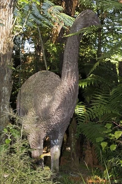 Moa Reconstruction - life size model of extinct Moa. Rainbow Springs - North Island - New Zealand. Thought to have become exinct through hunting and forest clearance in the 1500s but a few may have lived on until the early 19th century