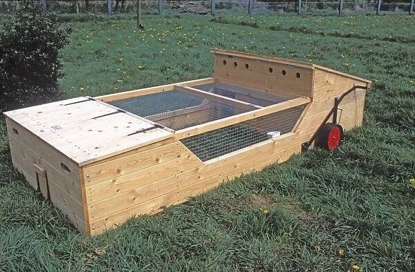 Mobile poultry ark for chickens in field - UK