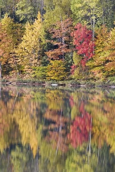 Moccassin Lake with Autumn Colours of Maples Reflected Upper Penninsular Michigan, USA LA004466
