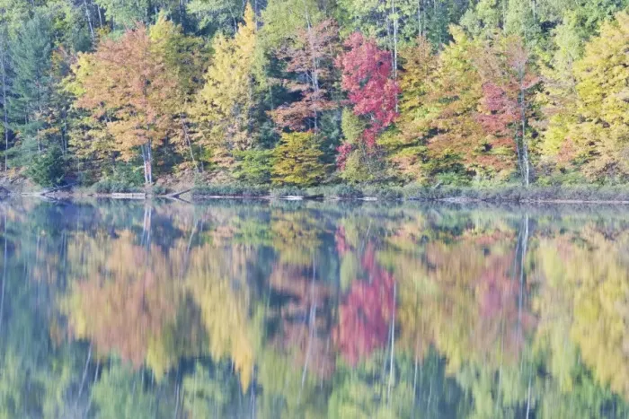 Framed Print : Moccassin Lake with Autumn Colours of Maples Reflected Upper Penninsular Michigan, USA LA004464 Framed Print : Moccassin Lake with Autumn Colours of Maples Reflected Upper Penninsular Michigan, USA LA004464