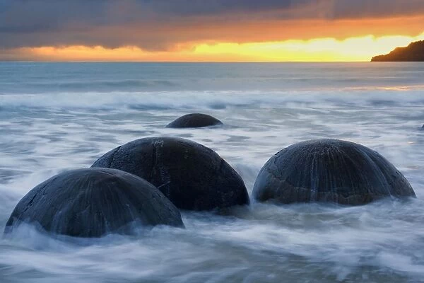 Moeraki Boulders massive spherical rocks at dawn surrounded by water of incoming tide Coastal Otago, South Island, New Zealand