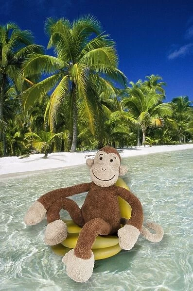 Monkey cuddly toy resting in tropical scene Digital Manipulation: Monkey (Su) - Bananas (LA) - Background (PM)