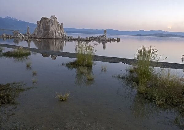 Mono Lake - at 6400 feet. Famous for its tufa pinnacles, threat from Los Angeles water supply, and its birds. East side of Sierra Nevada near Lee Vining, USA