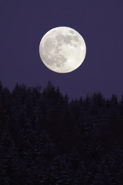 Framed Print : Full Moon - rising above forest in winter, Bramwald, Lower Saxony, Germany