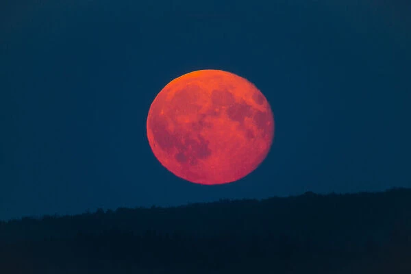 Full Moon - rising above horizon, coloured orange and red, Lower Saxony, Germany