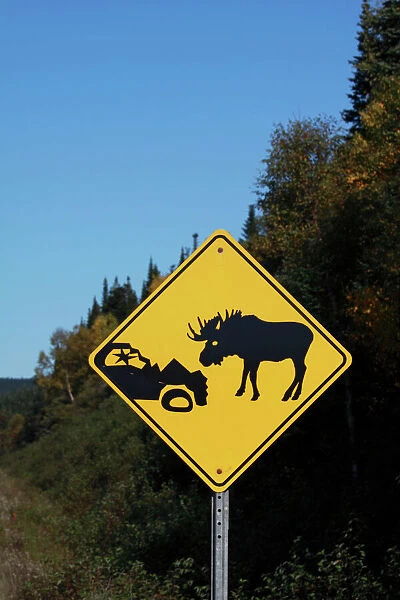 Moose warning traffic sign - Gros Morne National park - Newfoundland - Canada