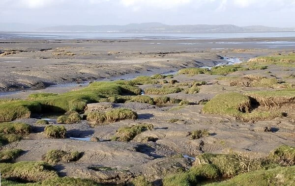 Morecombe Bay, Tidal sand and mud flats