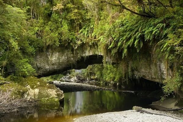 Moria Gate Arch and picturesque Oparara river located amidst lush and untouched native rainforest Oparara Basin, Karamea region, West Coast, South Island, New Zealand