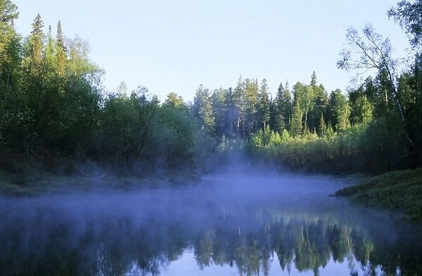 Morning mist over river Negustyah (typical Siberian river), a tributary of river Bolshoi Ugan, near Ugut settlement; Uganskii Nat. reserve, Siberia, Russia; spring Ug37. 0695