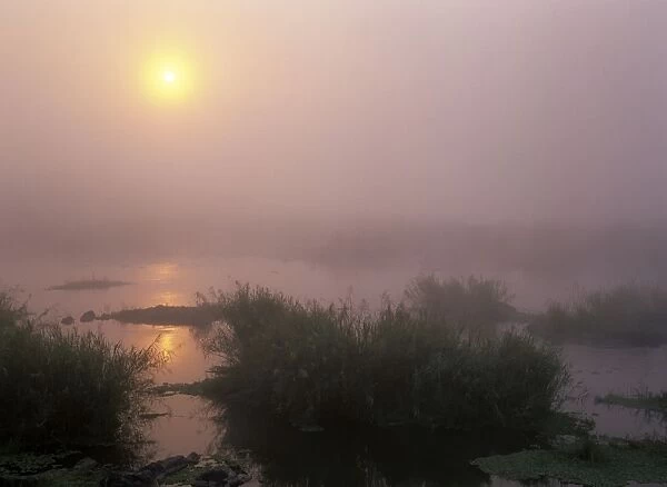 Morning mist sunrise over Sabie river with morning mist and reflection Kruger National Park, South Africa