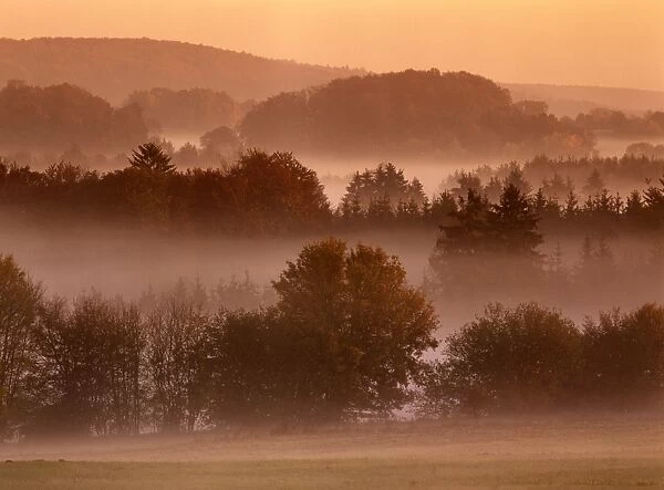 Morning mood scenery on a foggy morning in autumn Baden-Wuerttemberg, Germany