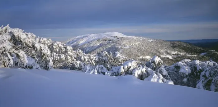 Framed Print : Mount Buller and Buller Village Ski Resort JLR 9 North East Victoria High Country - Australia © Jean-Marc La-Roque / ardea. com Framed Print : Mount Buller and Buller Village Ski Resort JLR 9 North East Victoria High Country - Australia © Jean-Marc La-Roque / ardea. com