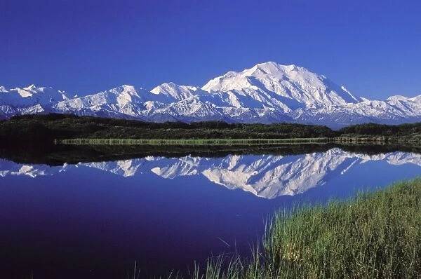 Mount McKinley - reflected in pond - Denali National Park, Alaska