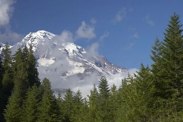 Mount Rainier and low cloud Mount Rainier NP, Washington State, USA LA001363