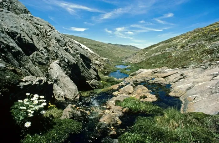 Framed Print : Mountain creek in spring Kosciuszko National Park, New South Wales, Australia JPF02815 Framed Print : Mountain creek in spring Kosciuszko National Park, New South Wales, Australia JPF02815