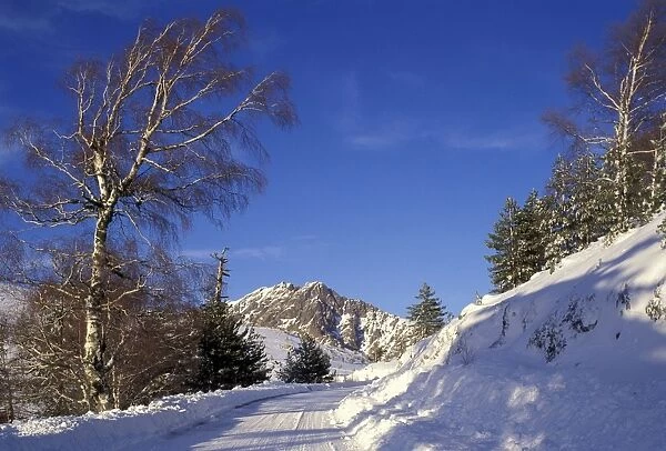 Mountain road in snow - Vergio's Pass - Corsica