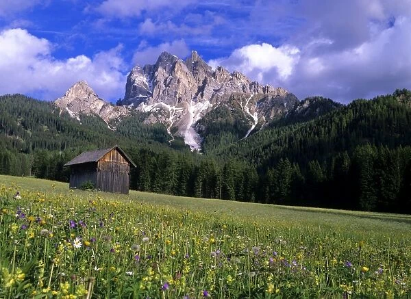 Mountain scenery with flowering meadow and hut near Praga di fuori Nationalpark Fennes-Prags, Dolomites, South Tyrol, Italy