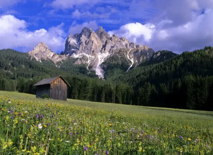 Framed Print : Mountain scenery with flowering meadow and hut near Praga di fuori Nationalpark Fennes-Prags, Dolomites, South Tyrol, Italy Framed Print : Mountain scenery with flowering meadow and hut near Praga di fuori Nationalpark Fennes-Prags, Dolomites, South Tyrol, Italy