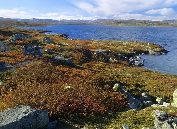 Mountain scenery lake and mountains with autumn coloured tundra vegetation Hardangervidda National Park, Norway