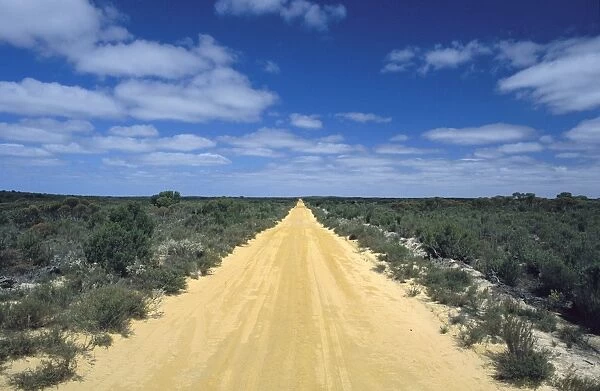 Murrayville Track Big Desert - Northwestern Victoria, Australia JLR01670