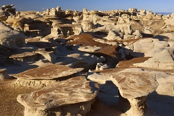 Mushroom Rocks - eroded clay sculptures with rocks balanced on their tops, located amidst badlands - Bisti Badlands Wilderness Area - New Mexico - USA