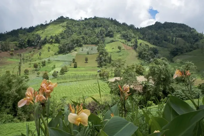 Framed Print : N. Sulawesi - minahasa highlands Farmland - Indonesia Framed Print : N. Sulawesi - minahasa highlands Farmland - Indonesia